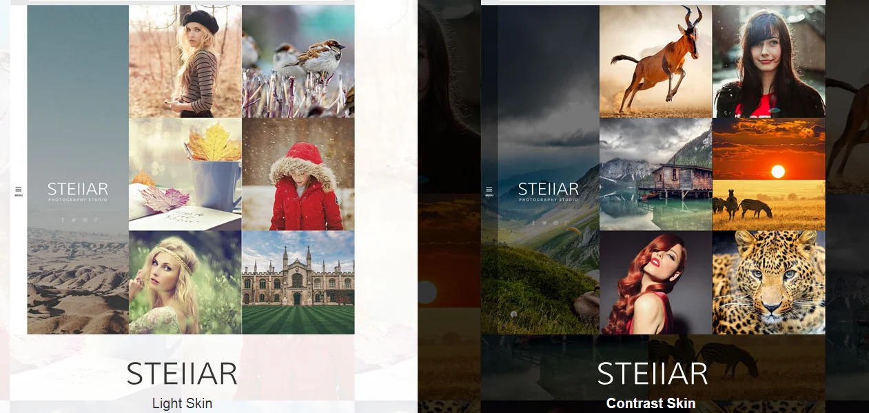 Photography Theme