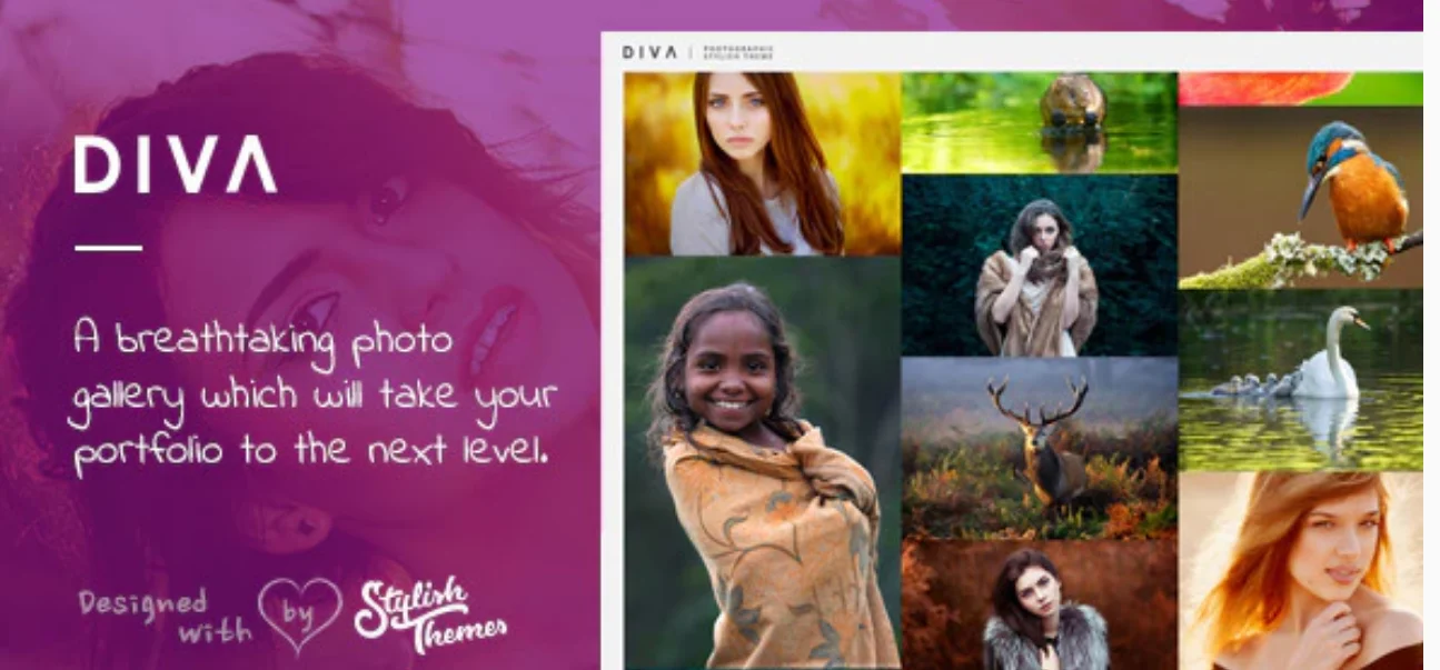 WordPress Photography Themes