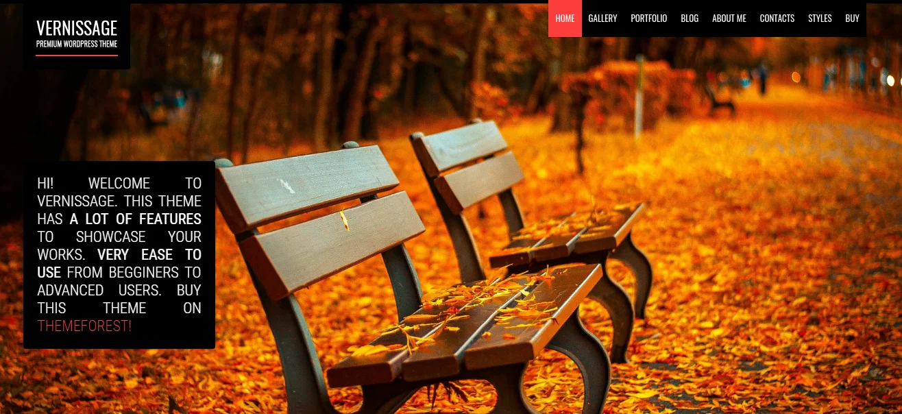 Photography Themes