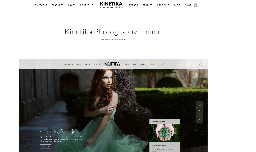 Responsive Themes