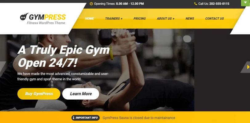 Professional Health & Fitness WordPress themes, gympress theme