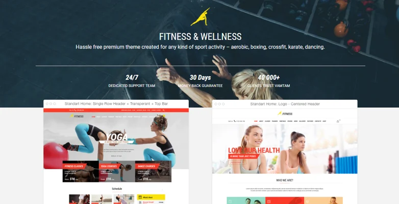 Professional Health & Fitness WordPress themes, gym-fitness theme