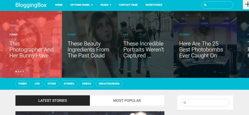 bloggingbox theme, WordPress Writers & Bloggers Themes