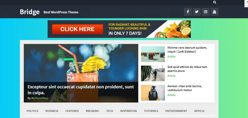 Multilingual RTL WordPress Themes, bridge theme
