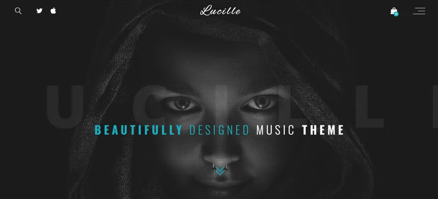 lucille theme, Designers and Artists WordPress Themes