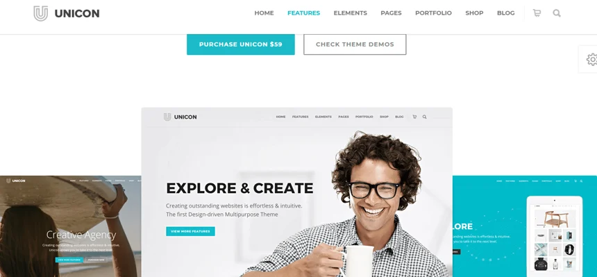 unicon theme, best wordpress theme