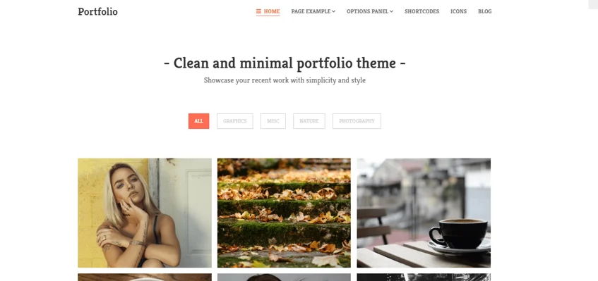 portfolio theme, portfolio theme ideas