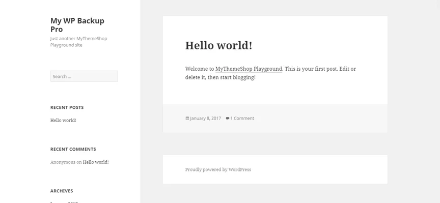 my WP backup pro plugin, backup wordpress site to computer