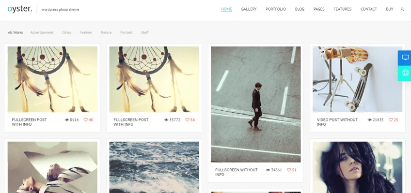 WordPress Photography Themes, oyster theme