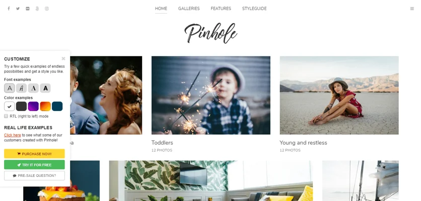 oinhole theme, best paid and free WP theme