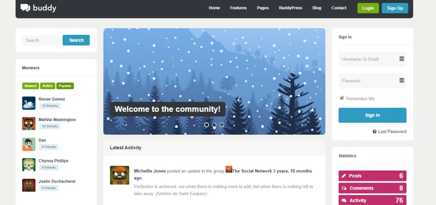 buddy theme, WordPress BuddyPress Themes