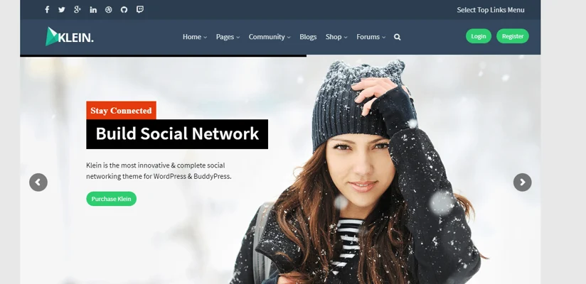 klein theme, best free and paid WP theme