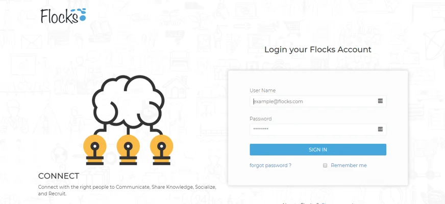 flocks theme, best free and paid theme
