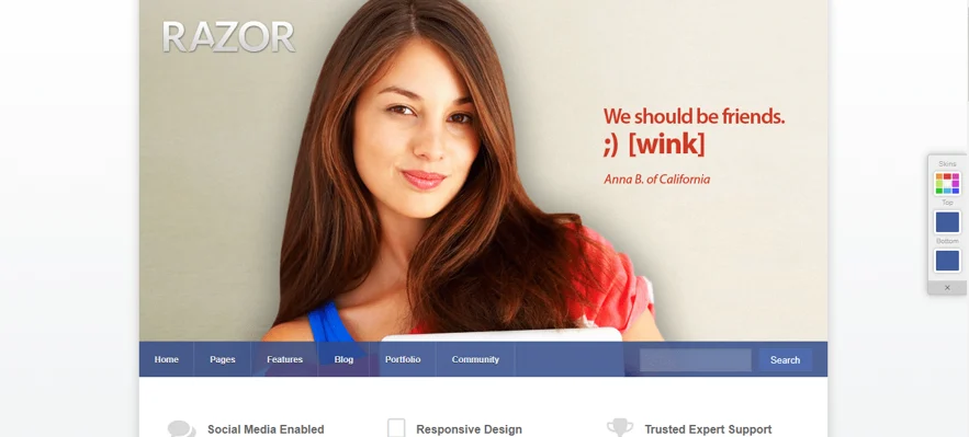 WordPress BuddyPress Themes, razor theme