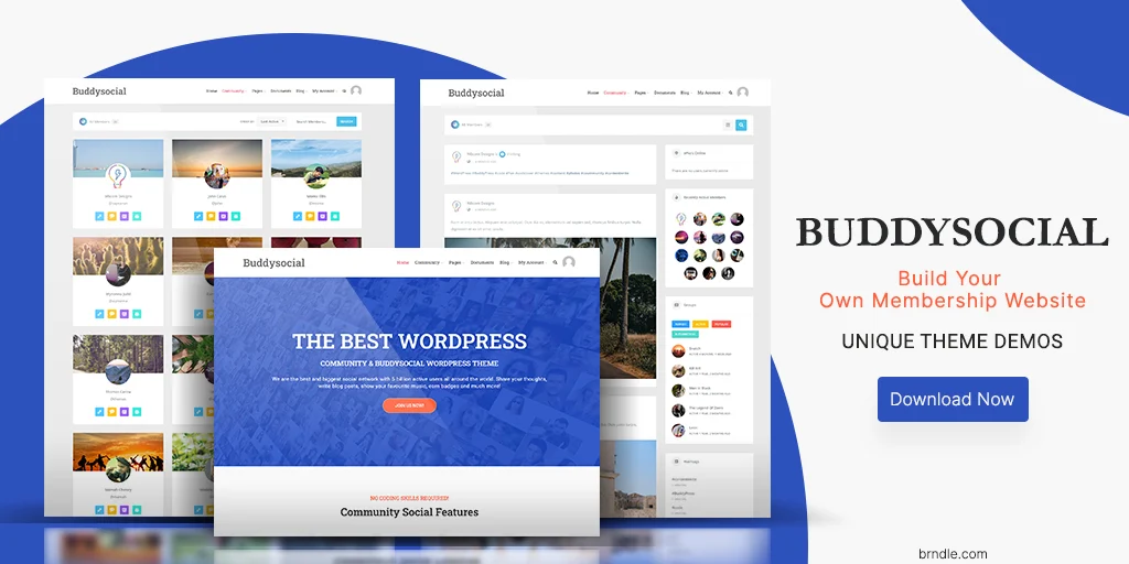 Best WordPress BuddyPress Themes Of 2020