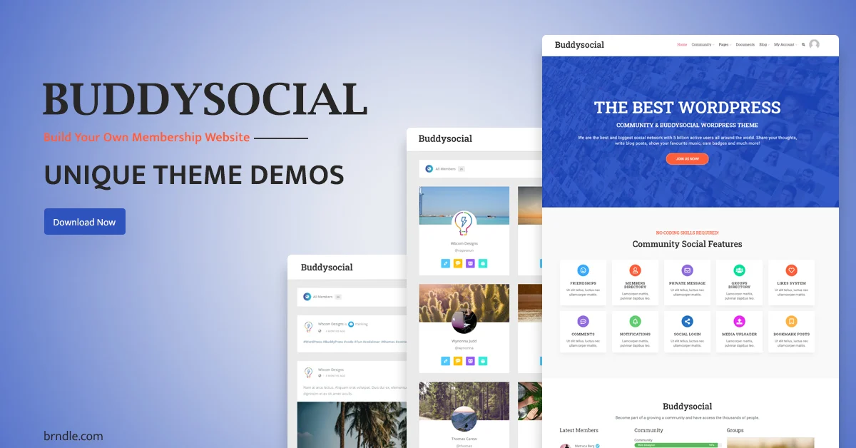 Best WordPress Forum Themes Of 2020
