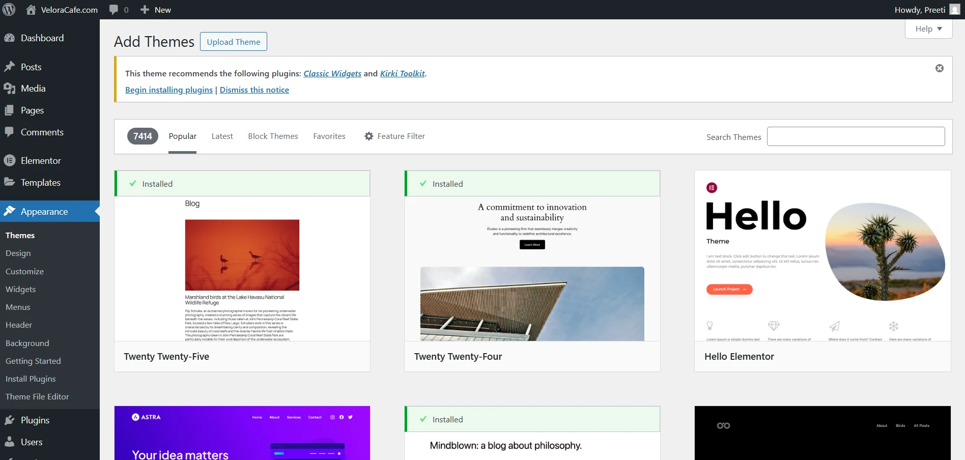 WordPress Themes