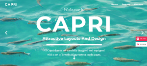 Portfolio WordPress Themes, capri theme,