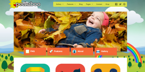 peekaboo theme, goodiez wordpress theme nulled