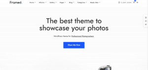 framed theme, WordPress Photography Themes
