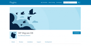 WP Migrate DB