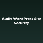Audit WordPress Site Security