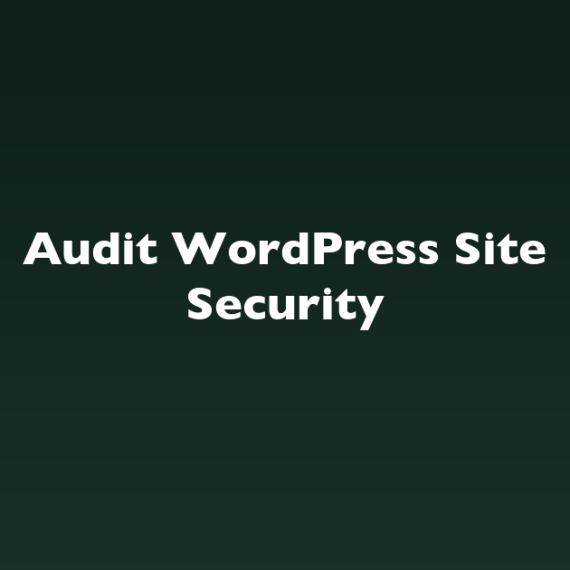 Audit WordPress Site Security
