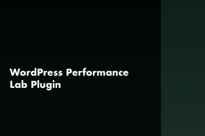 WordPress Performance Lab plugin guide — which features to enable in 2026 for Core Web Vitals