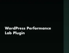 Performance Lab Plugin
